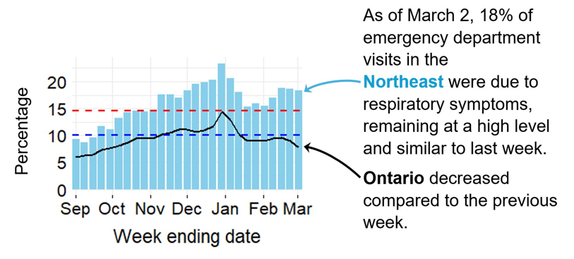 Graph showing the percentage of emergency visits in Northeast Ontario due to respiratory issues from September 2024 to the present. Levels rise from low (<10.1%) in September to high (>14.6%) by November, peaking at 23% in late December. They decline in early 2025 but remain high. Ontario follows a similar trend but with rates 5–10% lower, likely due to differences in healthcare access and use. As of March 2, 18% of emergency department visits in the Northeast were due to respiratory symptoms, remaining at a high level and similar to last week. Ontario followed a similar trend.